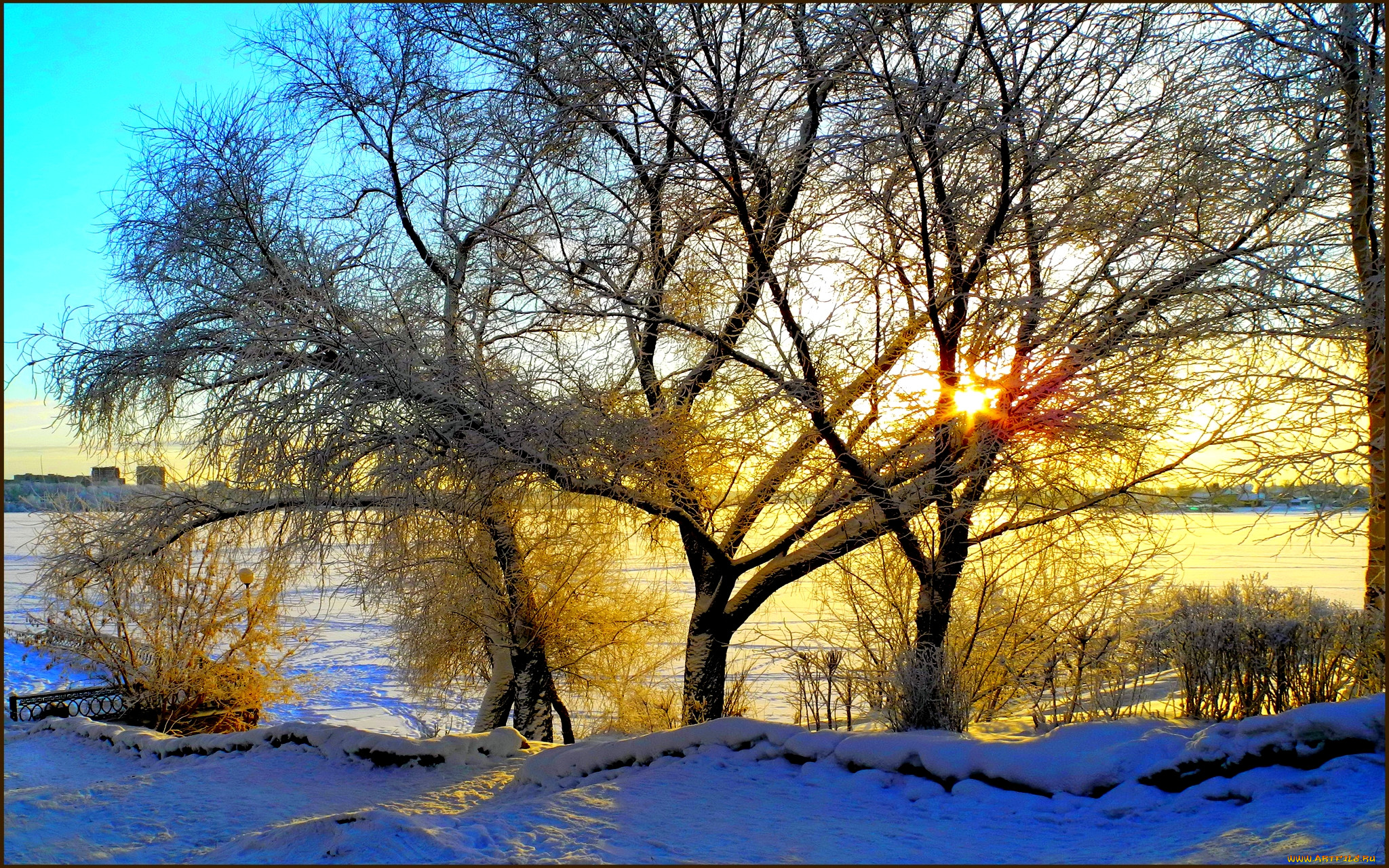 winter, morning, , , , , , 